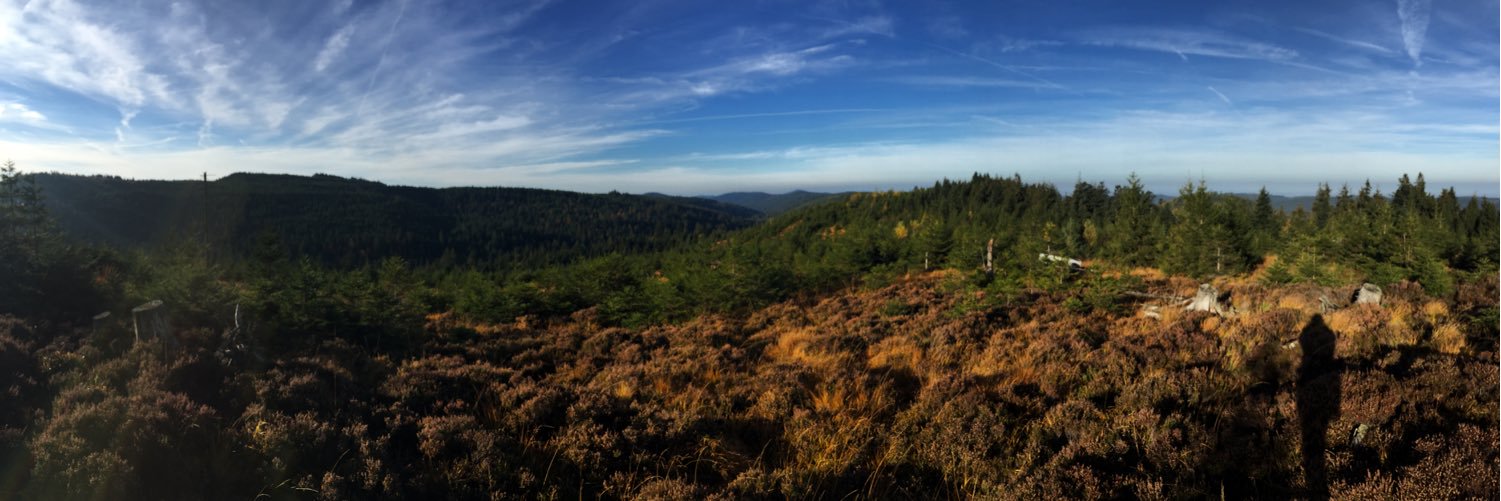 Mathieu Brout banner