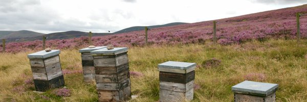 ScotGamekeepers Profile Banner