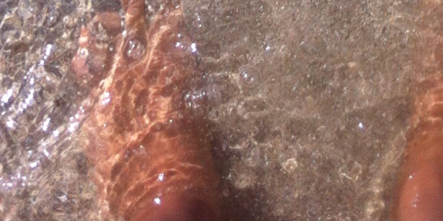 BStrappato's profile banner image