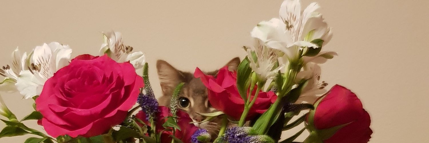 roxydinnis's profile banner image