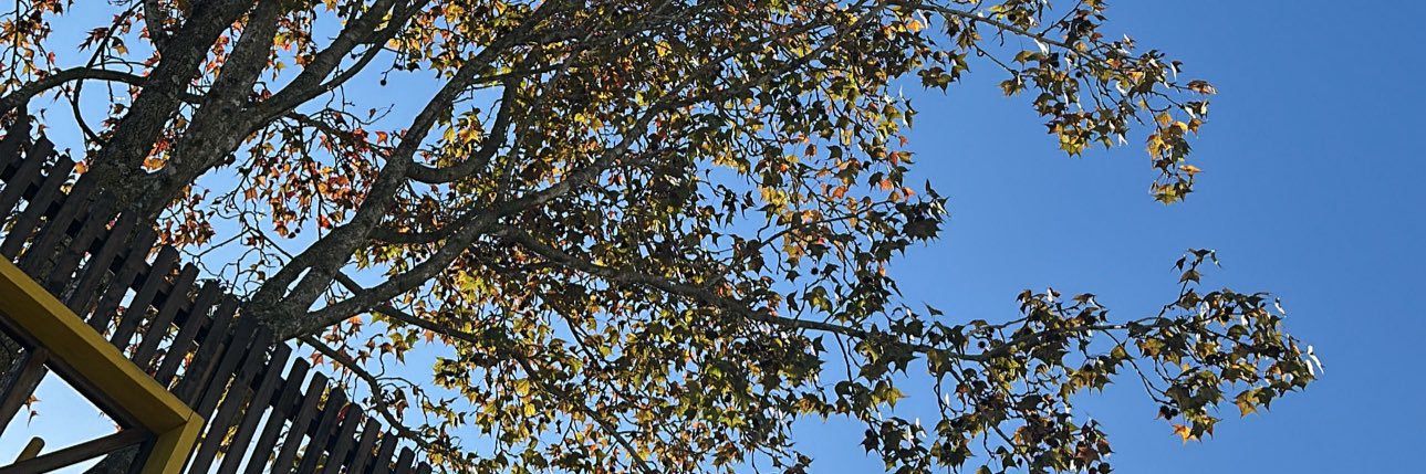 rslucy_'s profile banner image