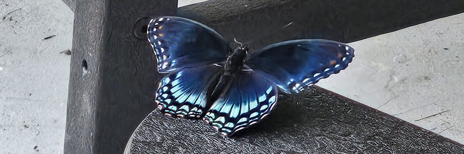 ThatCutieKayla's profile banner image