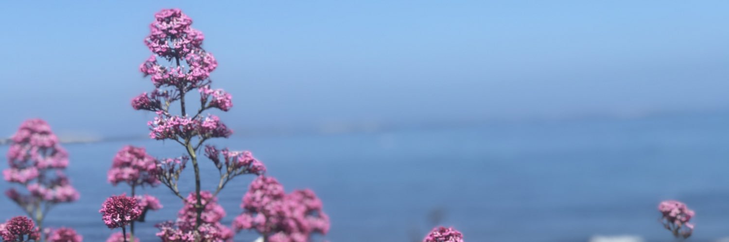 kirsty_warnock's profile banner image