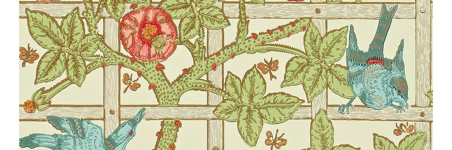 Louise Amende banner