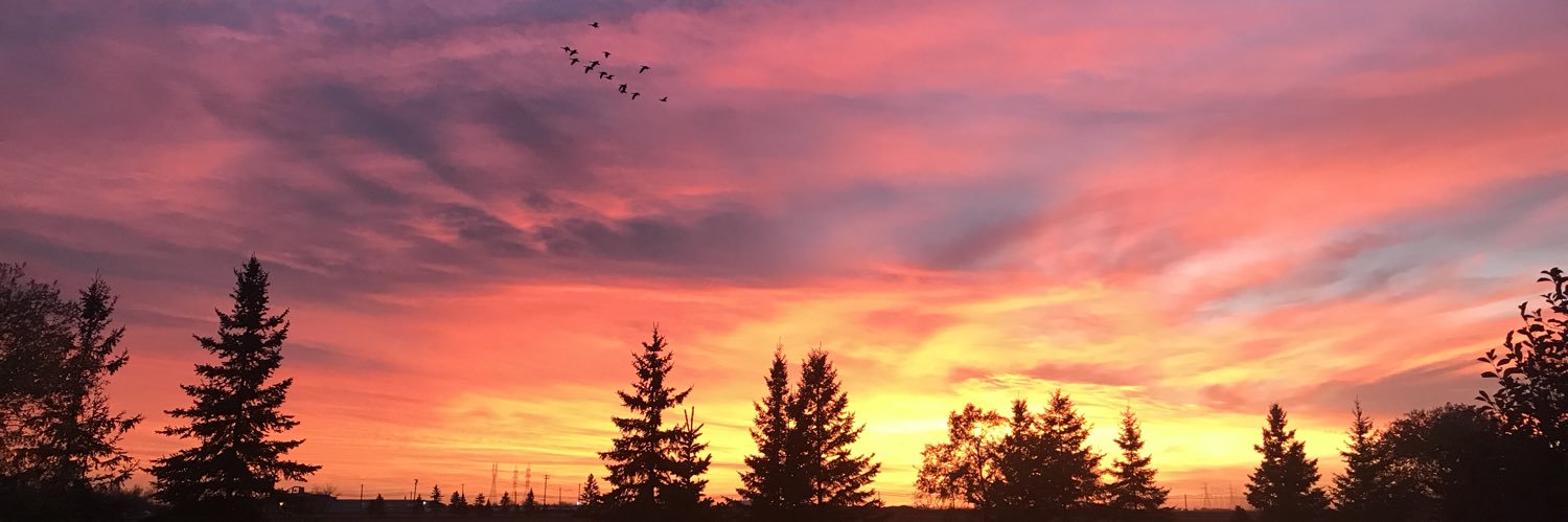 ChelsyJohnsonn's profile banner image
