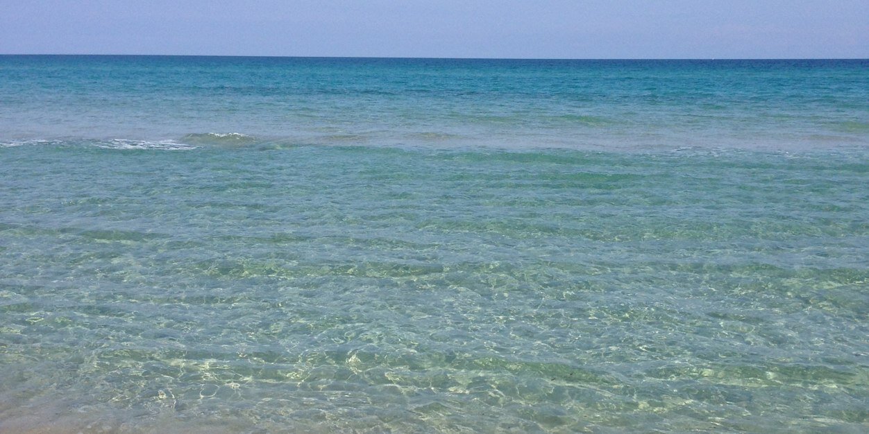 francesca barletta banner