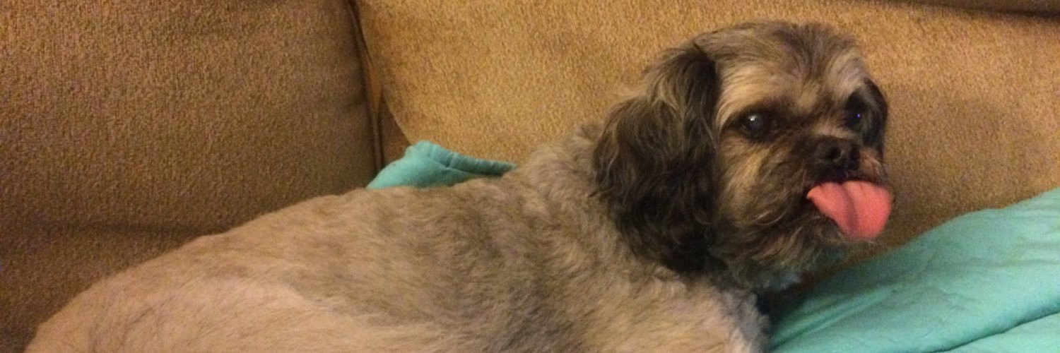 Dr. James Tyner, PhD banner