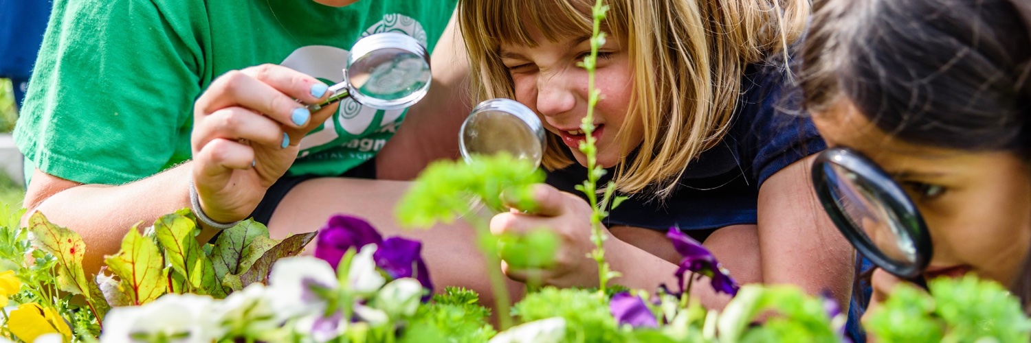 CASE for Kids banner