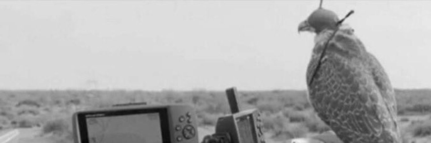 mvv_971's profile banner image