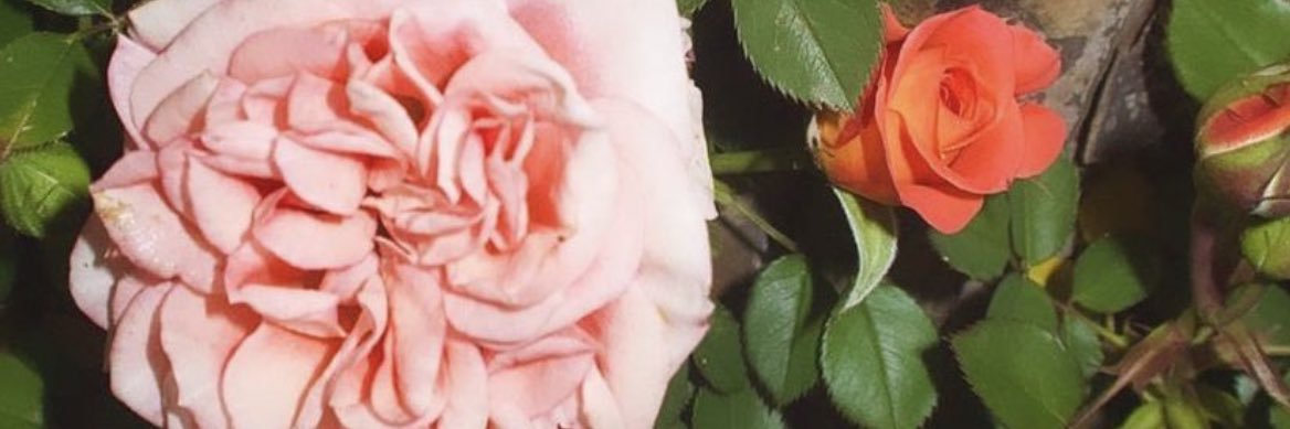 MartinaJ296's profile banner image