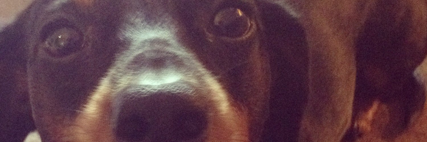 _Carlyy's profile banner image