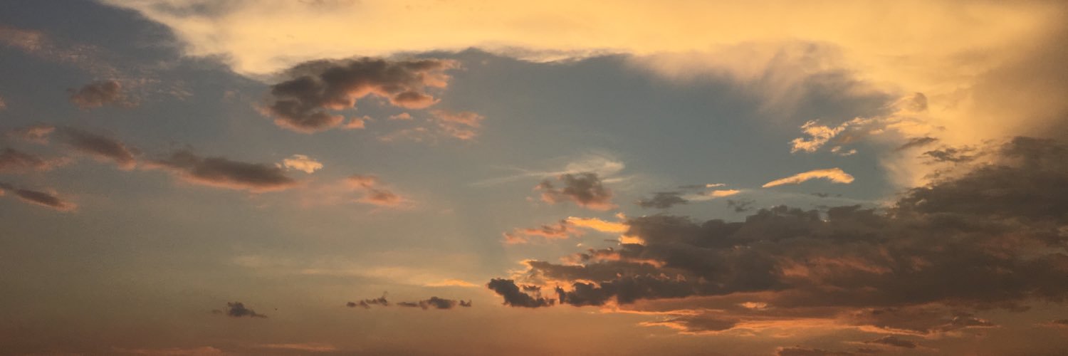 edifrenki's profile banner image