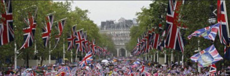 Edmund Blackadder QC 3.5% Brain Function banner