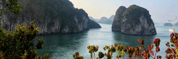 Wufetta Profile Banner