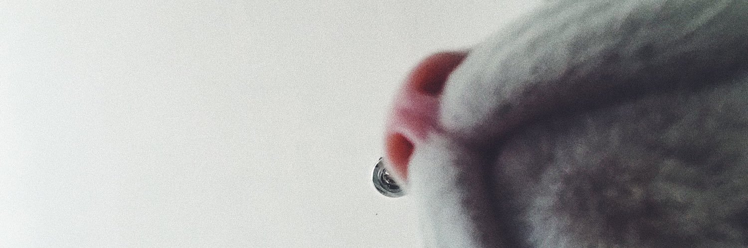 ChelseaCollis's profile banner image