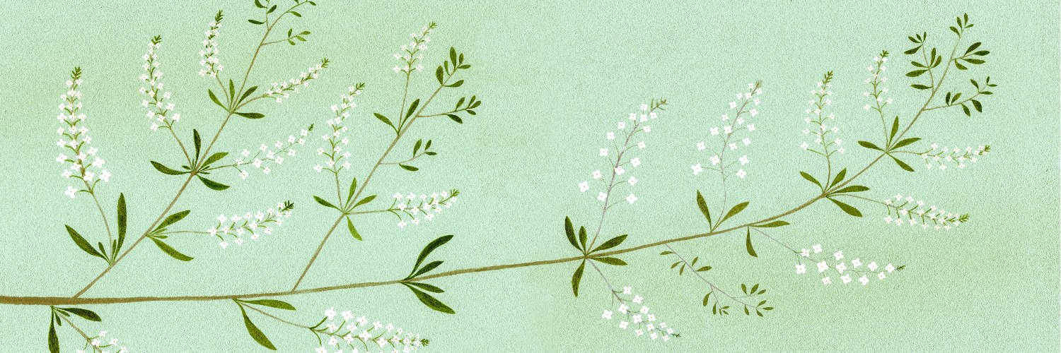 GImsteyf's profile banner image