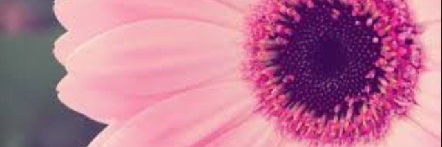 tsxoxo_'s profile banner image