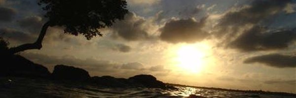 user_408253 Profile Banner