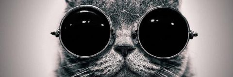 zzais_7's profile banner image