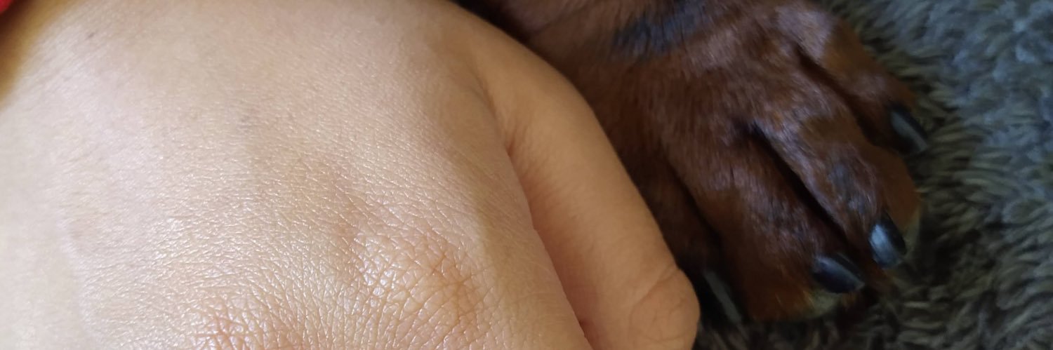 PipeManez's profile banner image