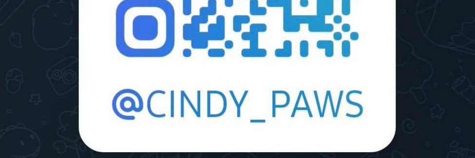 cindyCYpaws's profile banner image