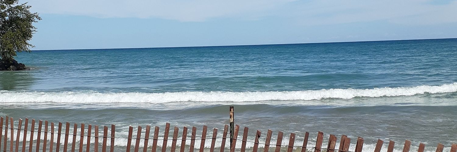 Tinkbella29's profile banner image
