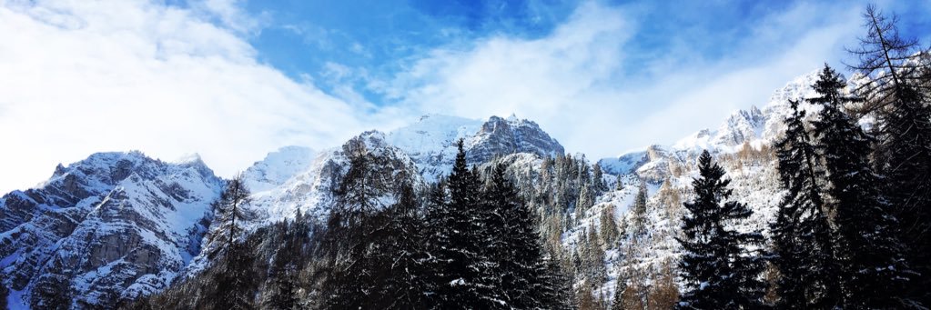 Maria Di Campli banner