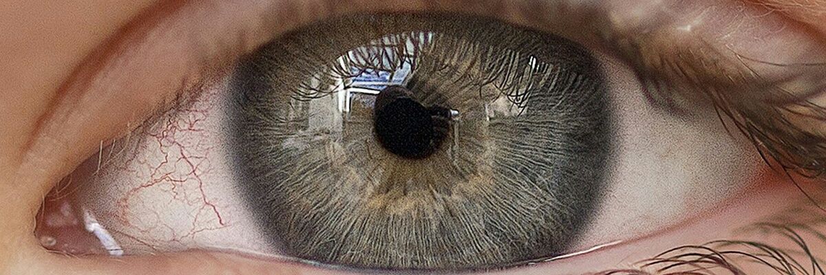 PedroReisVictor's profile banner image
