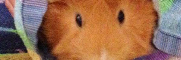 lorna_mess Profile Banner