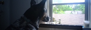 ldotudot's profile banner image
