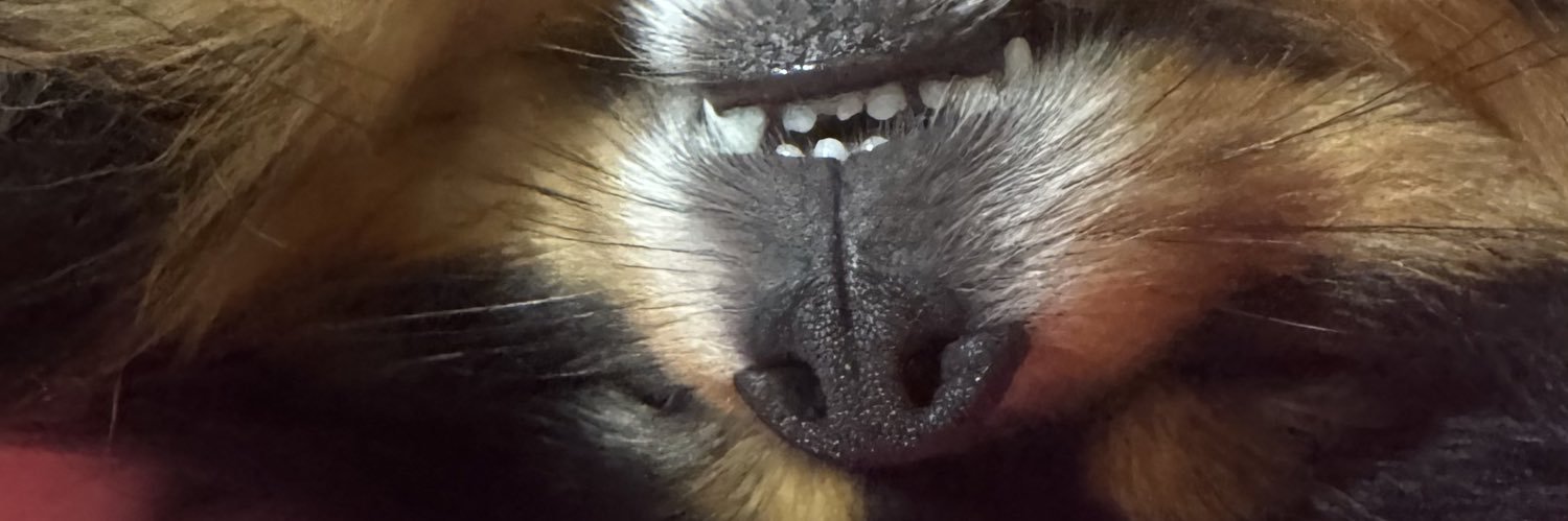 itskyojuro's profile banner image
