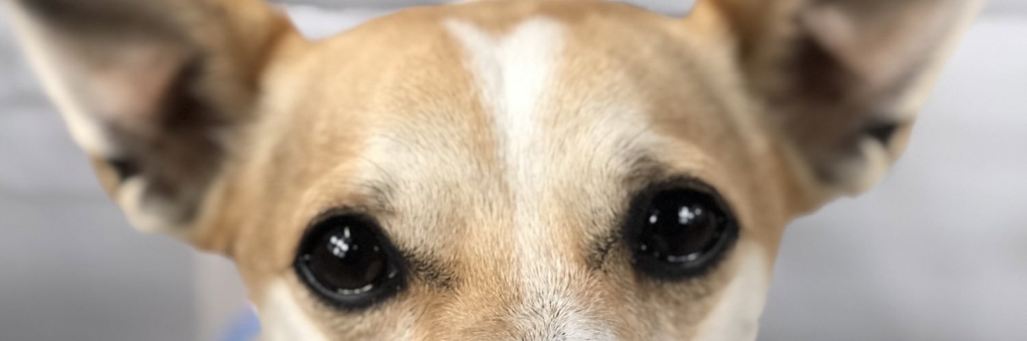 Yournewstepmami's profile banner image