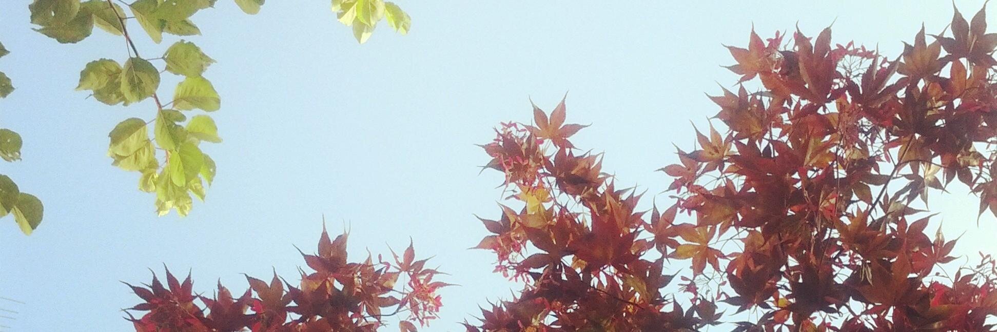 AndreaEndriu's profile banner image