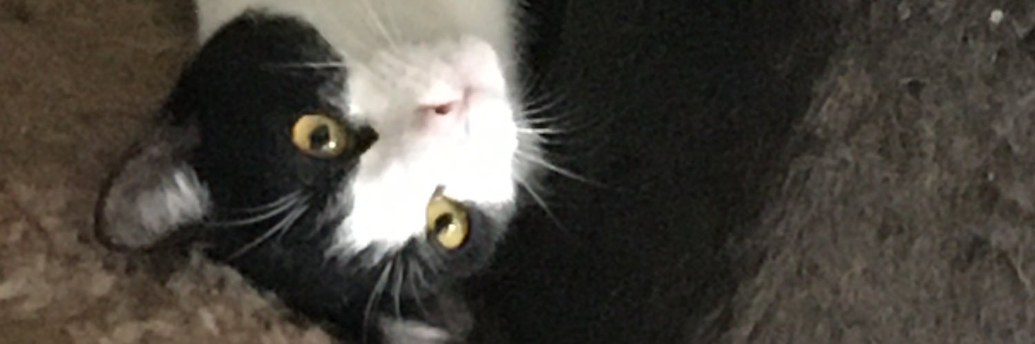 b_dienstmann's profile banner image