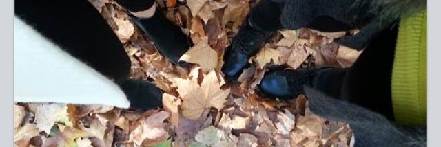 RachelCBult's profile banner image