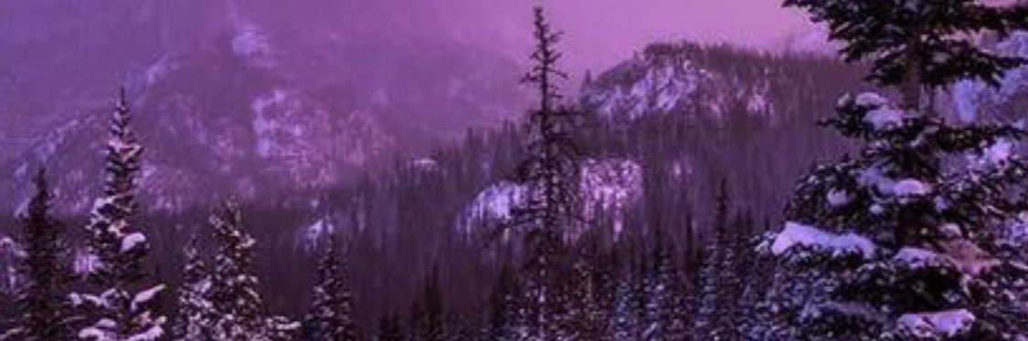 kiley808's profile banner image