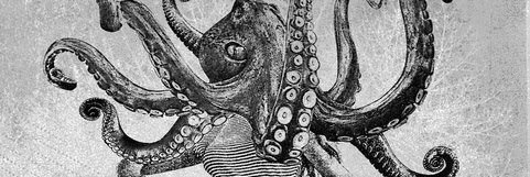 _trianas's profile banner image