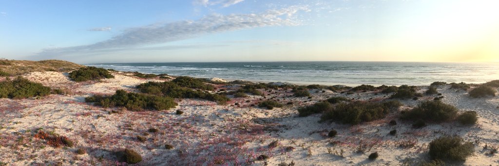 Isla MacMillan banner