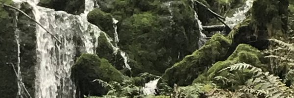 Es4Justice Profile Banner