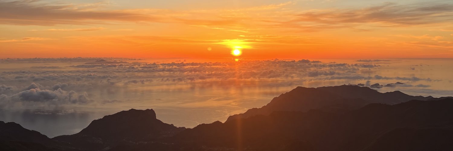 taylorrmccarthy's profile banner image