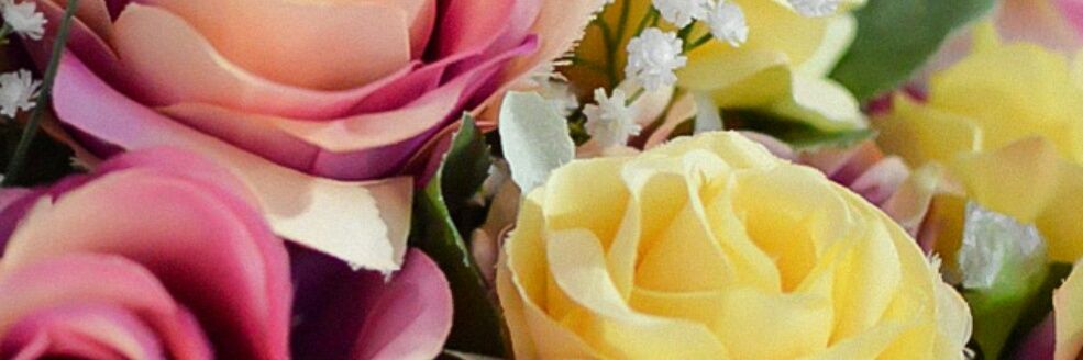 ALEXANDRASANC47's profile banner image