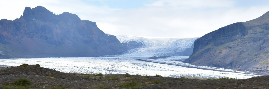 Aria Kovalovich banner