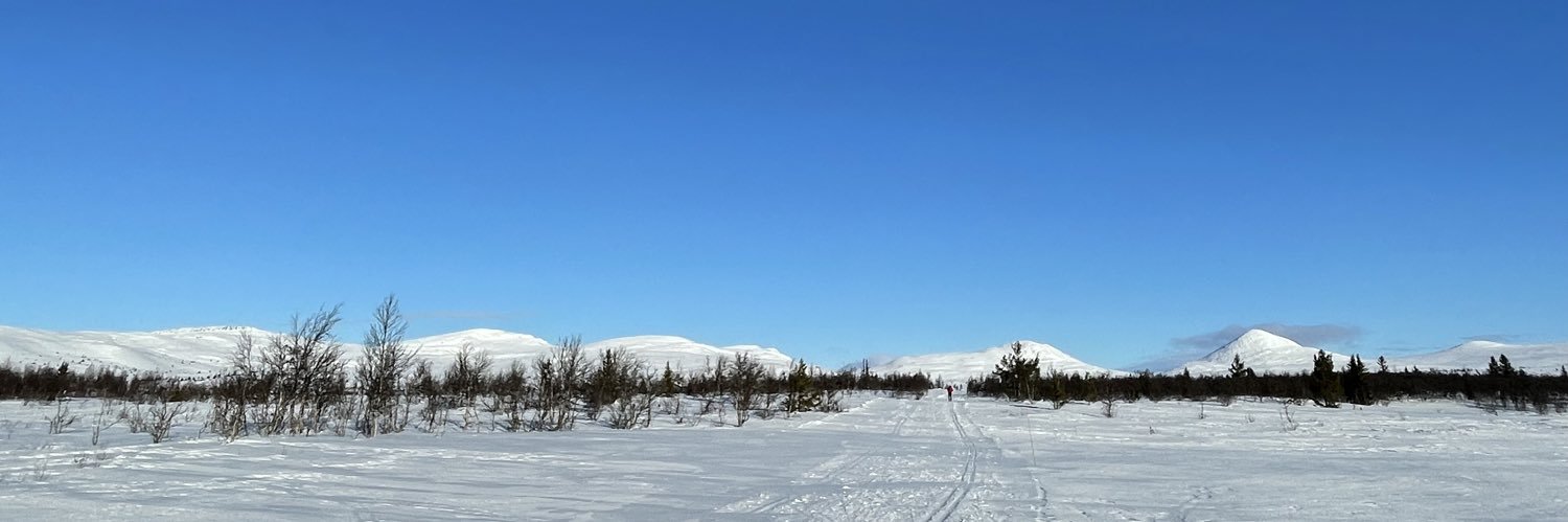 Dominique Lazanski banner
