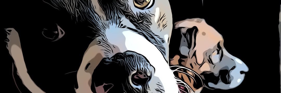 TheRonis's profile banner image