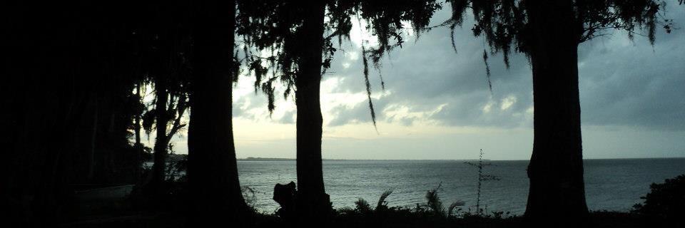 sara_brook3's profile banner image