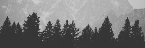 MysteryManda's profile banner image