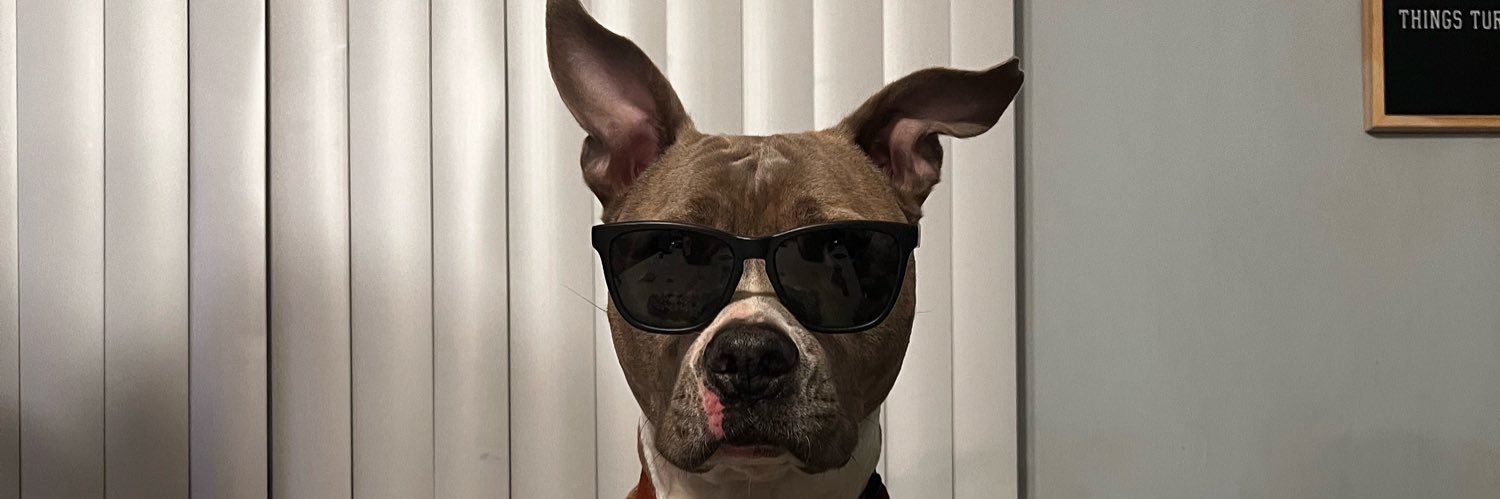 Tommy Tsunami 🌊 banner