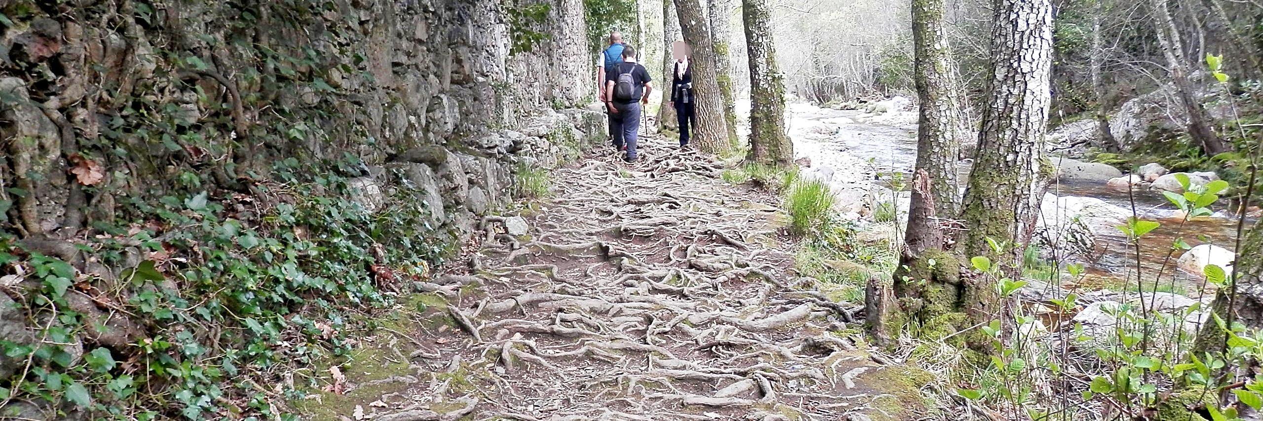 yolanda barbero baez banner