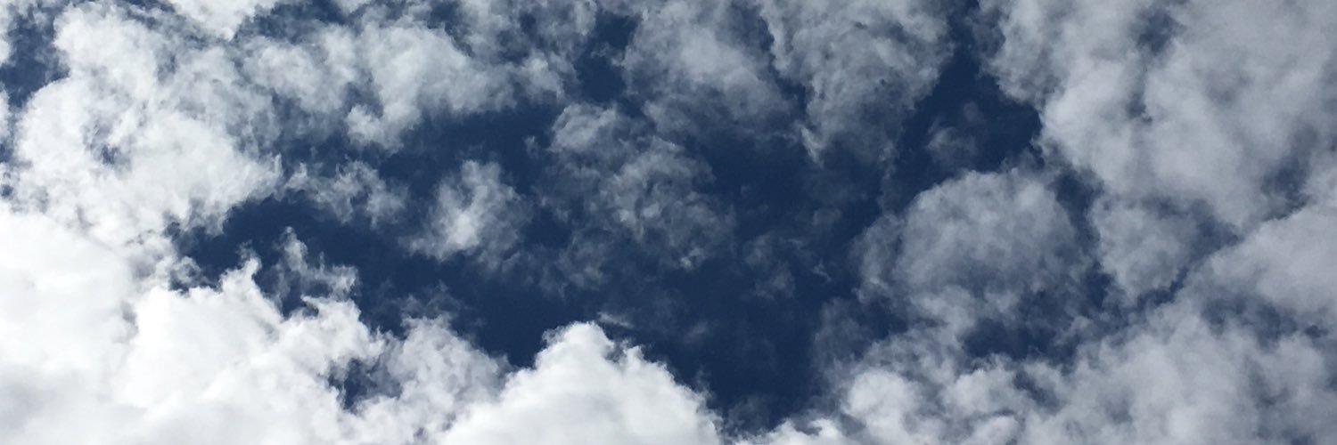 Dominique Trouche banner