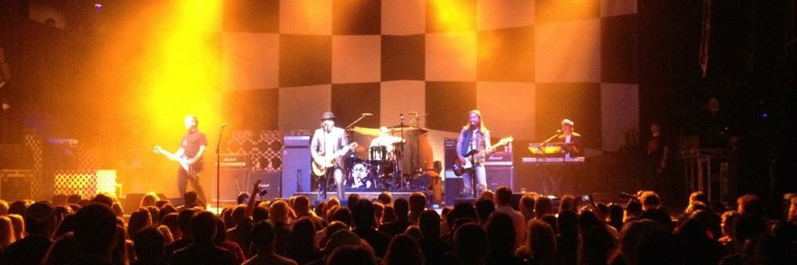 goddamn draculas banner